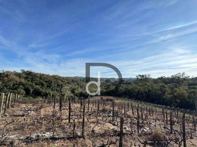 Sítio e chácara venda em Região Imediata de Jundiaí, Louveira