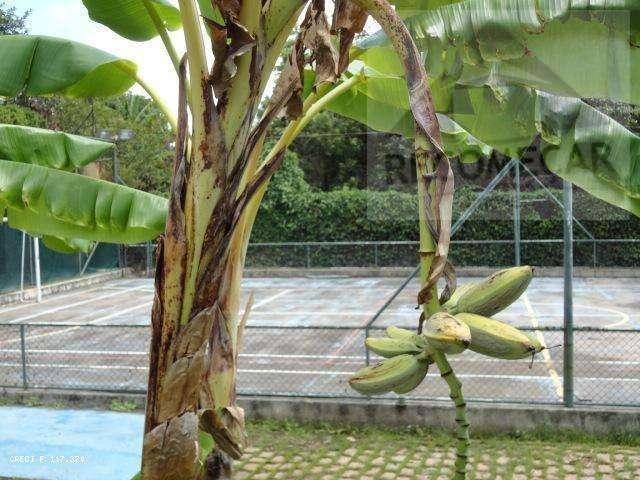 Sítio e chácara venda em Região Imediata de Jundiaí, Louveira