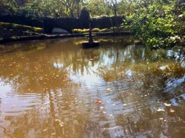 Sítio e chácara venda em Jardim Vera Cruz, Louveira