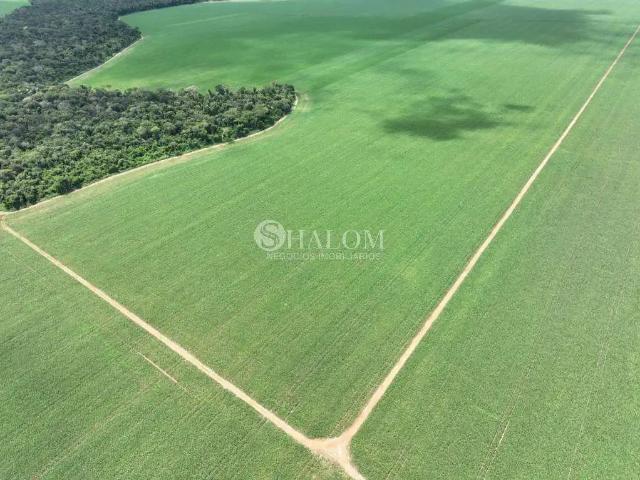Sítio e chácara venda em Região Geográfica Imediata de Sorriso, Lucas do Rio Verde