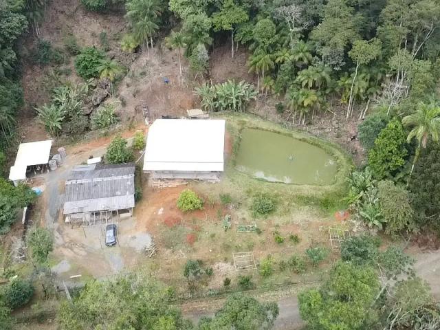 Sítio e chácara venda em Região Geográfica Imediata de Itajaí, Luiz Alves
