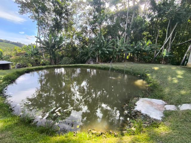 Sítio e chácara venda em Vila do Salto, Luiz Alves