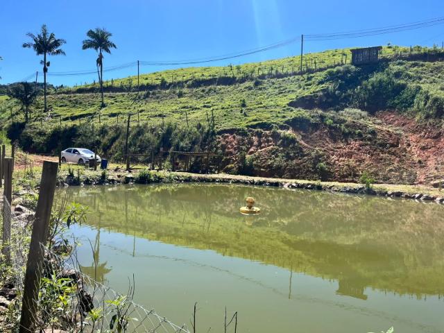 Sítio e chácara venda em Vila do Salto, Luiz Alves