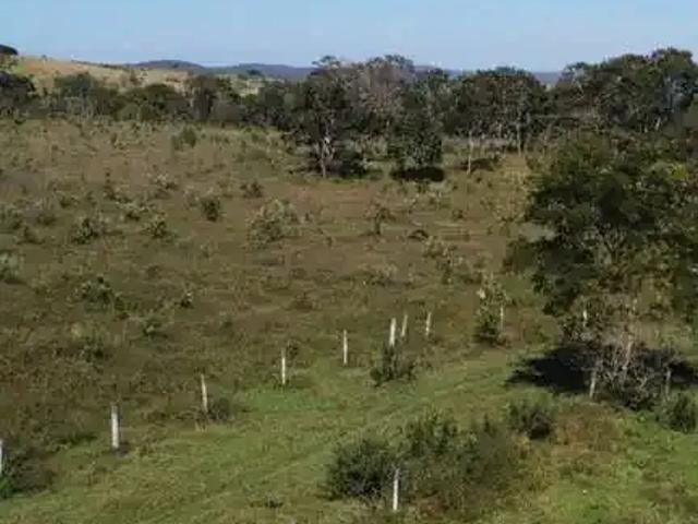 Sítio e chácara venda em Região Geográfica Imediata de Luziânia, Região Integrada de Desenvolvimento do Distrito Federal e Entorno
