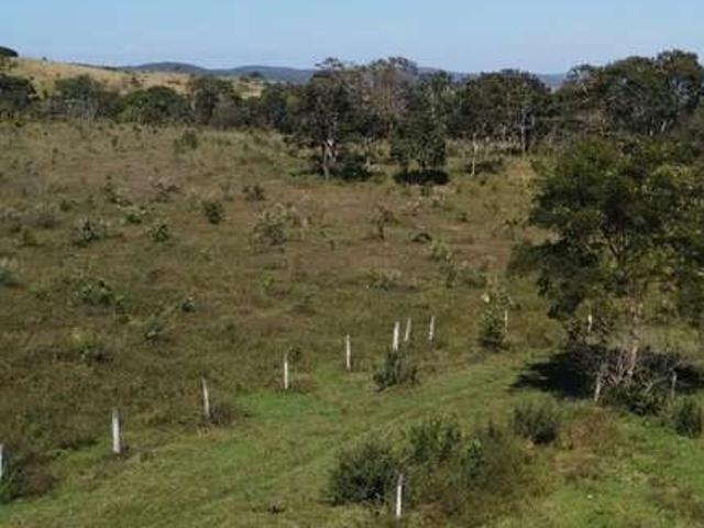 Sítio e chácara venda em Região Geográfica Imediata de Luziânia, Região Integrada de Desenvolvimento do Distrito Federal e Entorno