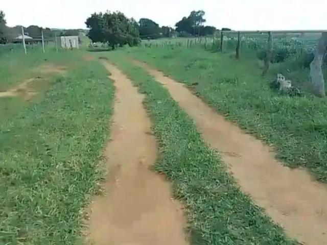 Sítio e chácara venda em Região Geográfica Imediata de Luziânia, Região Integrada de Desenvolvimento do Distrito Federal e Entorno