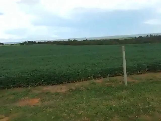 Sítio e chácara venda em Região Geográfica Imediata de Luziânia, Região Integrada de Desenvolvimento do Distrito Federal e Entorno