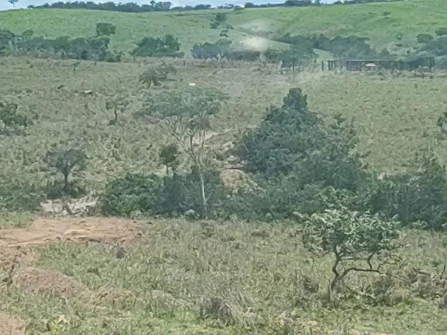 Sítio e chácara venda em Região Geográfica Imediata de Luziânia, Região Integrada de Desenvolvimento do Distrito Federal e Entorno
