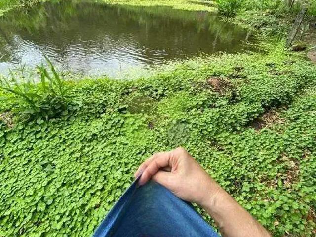 Sítio e chácara venda em Região Geográfica Imediata de Macaé-Rio das Ostras, Macaé
