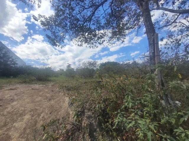 Sítio e chácara venda em Região Geográfica Imediata de Macaé-Rio das Ostras, Macaé