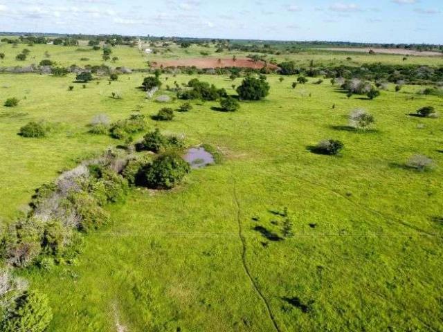 Sítio e chácara venda em Macaíba