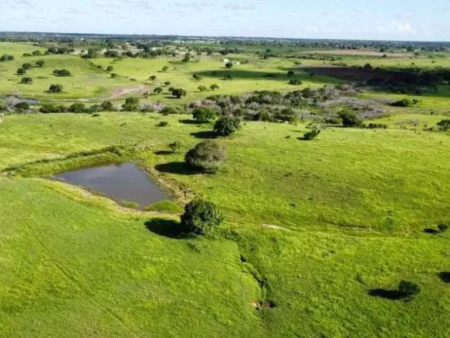 Sítio e chácara venda em Região Geográfica Imediata de Natal, Macaíba