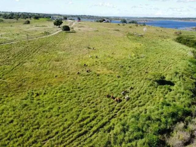 Sítio e chácara venda em Região Geográfica Imediata de Natal, Macaíba
