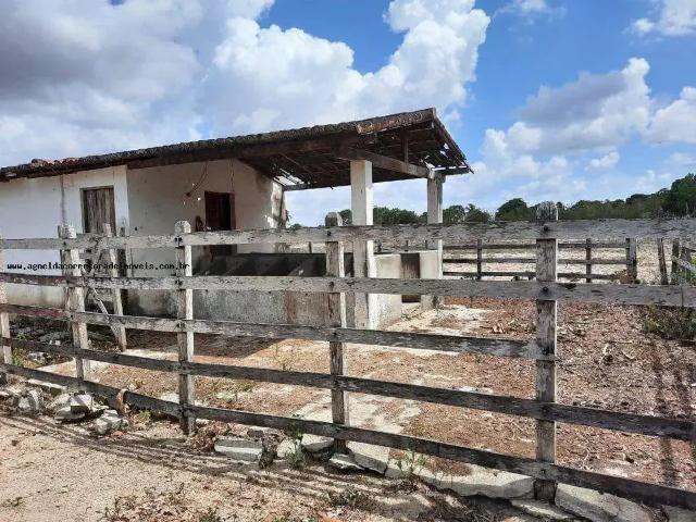Sítio e chácara venda em Região Geográfica Imediata de Natal, Macaíba