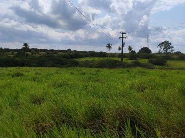 Sítio e chácara venda em Macaíba