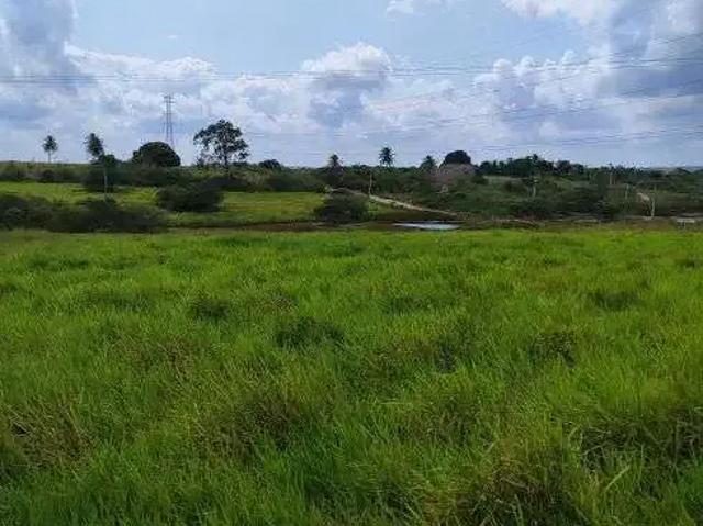 Sítio e chácara venda em Região Geográfica Imediata de Natal, Macaíba