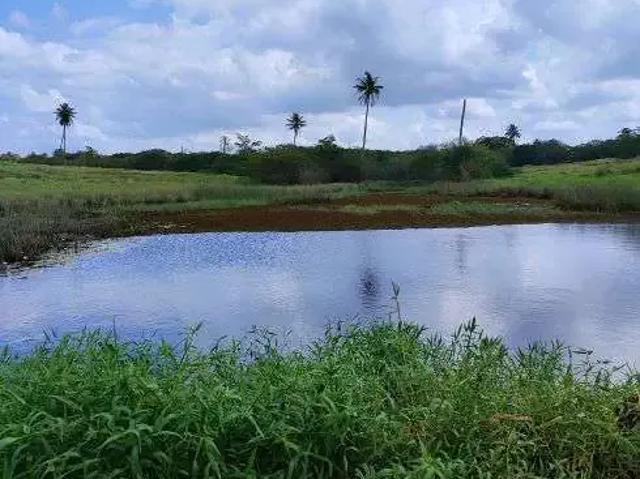 Sítio e chácara venda em Região Geográfica Imediata de Natal, Macaíba
