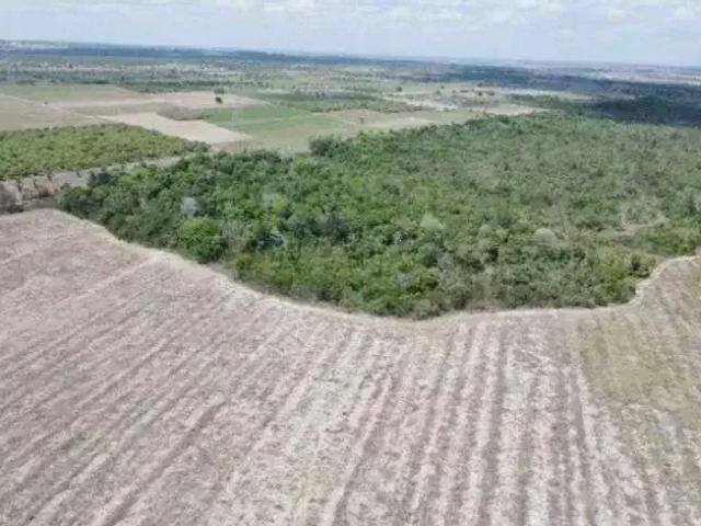 Sítio e chácara venda em Região Geográfica Imediata de Natal, Macaíba