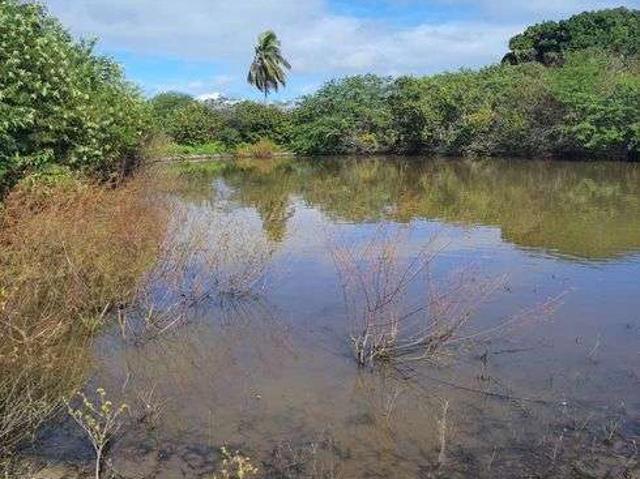 Sítio e chácara venda em Macaíba