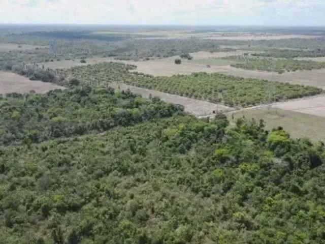Sítio e chácara venda em Região Geográfica Imediata de Natal, Macaíba