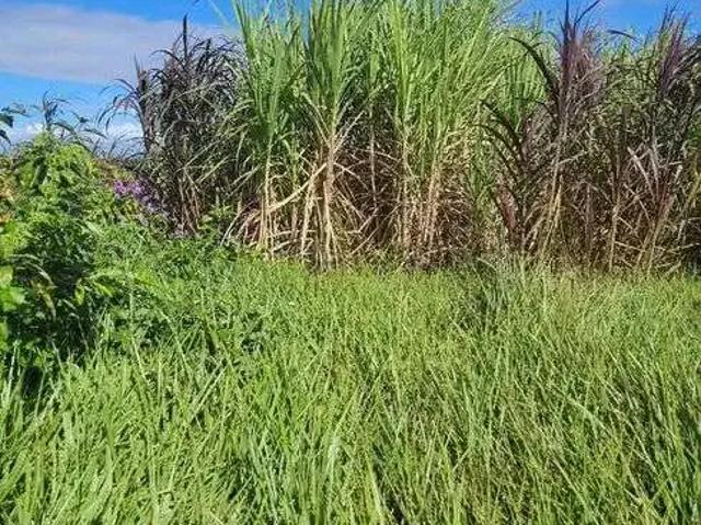 Sítio e chácara venda em Região Geográfica Imediata de Natal, Macaíba