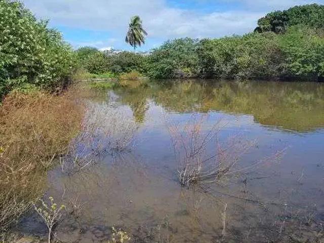 Sítio e chácara venda em Região Geográfica Imediata de Natal, Macaíba