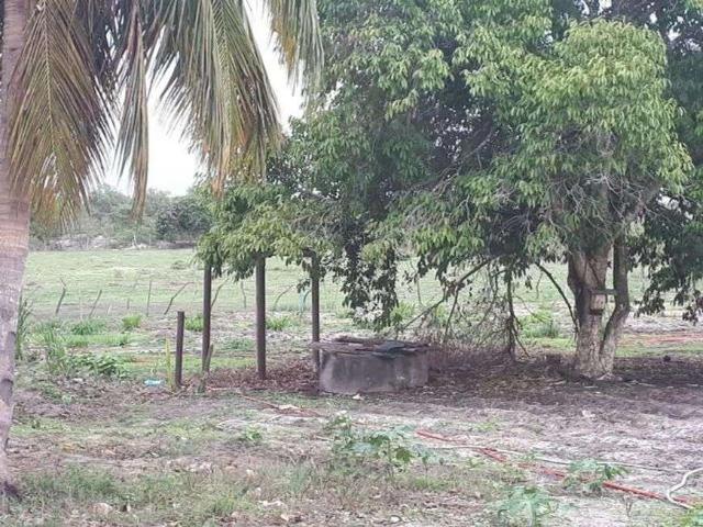 Sítio e chácara venda em Macaíba
