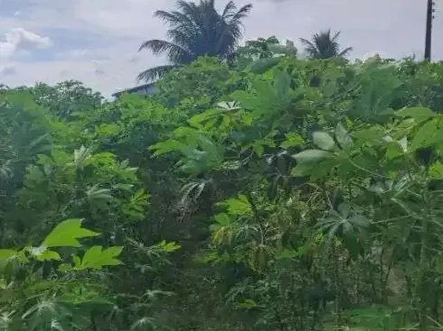 Sítio e chácara venda em Região Geográfica Imediata de Natal, Macaíba