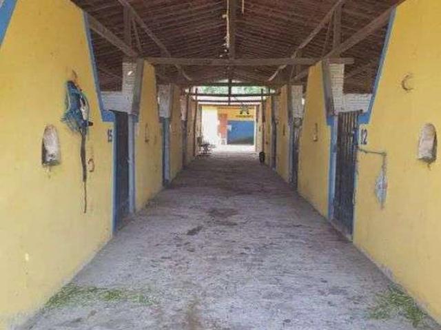 Sítio e chácara venda em Macaíba