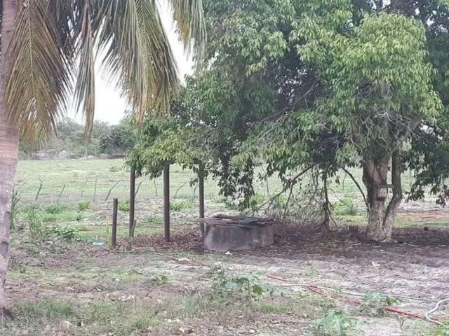 Sítio e chácara venda em Região Geográfica Imediata de Natal, Macaíba