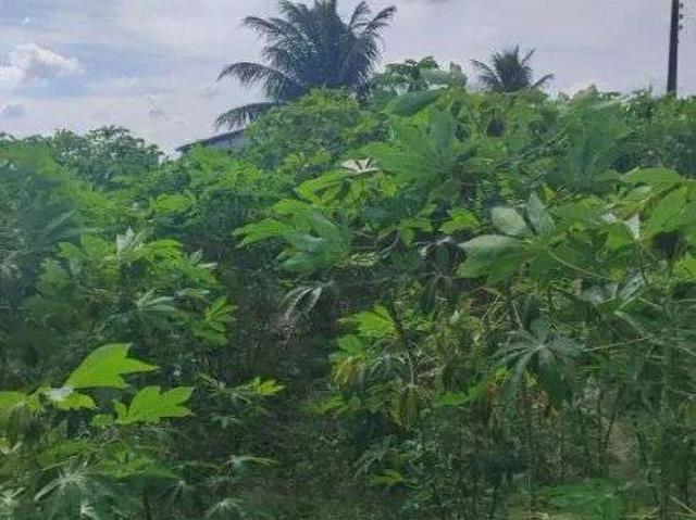 Sítio e chácara venda em Macaíba
