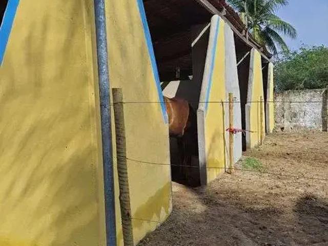 Sítio e chácara venda em Região Geográfica Imediata de Natal, Macaíba