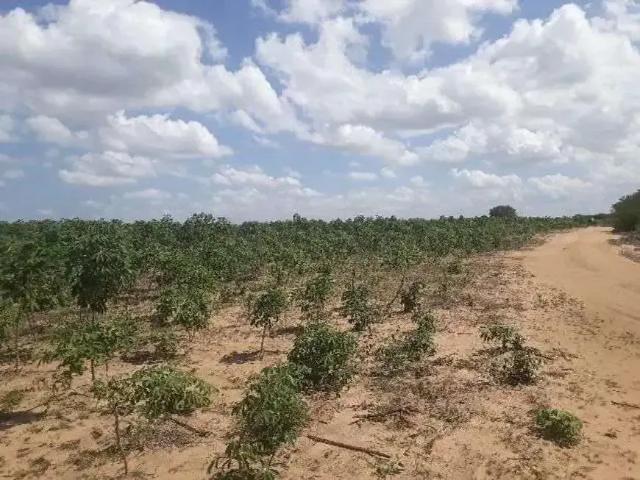 Sítio e chácara venda em Região Geográfica Imediata de Natal, Macaíba