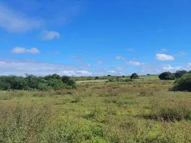 Sítio e chácara venda em Região Geográfica Imediata de Natal, Macaíba