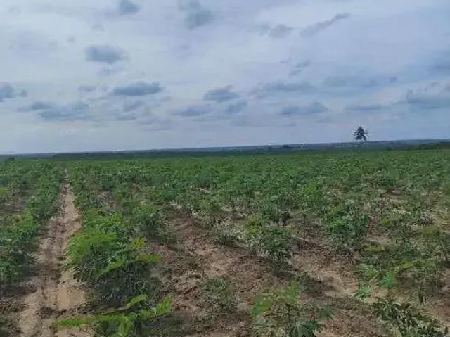 Sítio e chácara venda em Região Geográfica Imediata de Natal, Macaíba