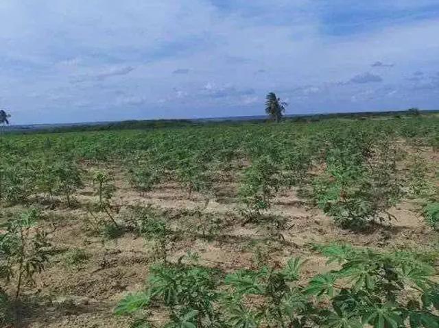 Sítio e chácara venda em Região Geográfica Imediata de Natal, Macaíba