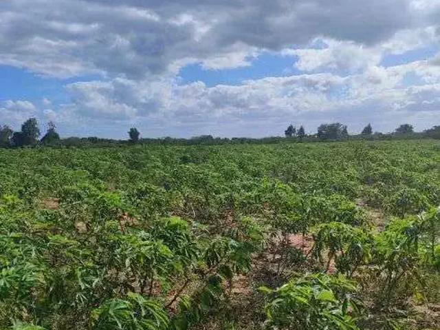 Sítio e chácara venda em Região Geográfica Imediata de Natal, Macaíba