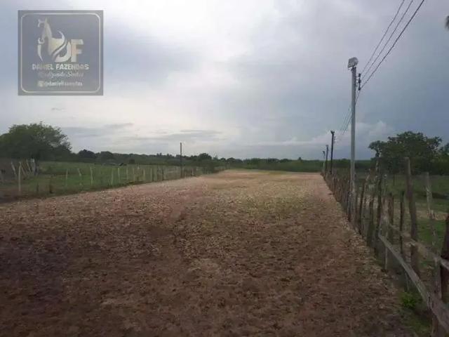 Sítio e chácara venda em Região Geográfica Imediata de Natal, Macaíba