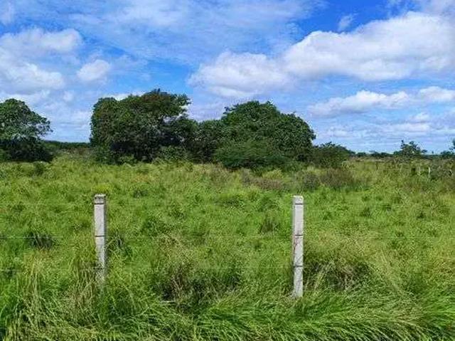 Sítio e chácara venda em Região Geográfica Imediata de Natal, Macaíba