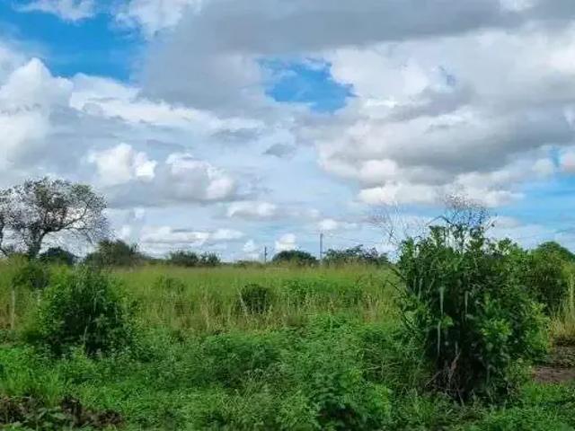 Sítio e chácara venda em Região Geográfica Imediata de Natal, Macaíba