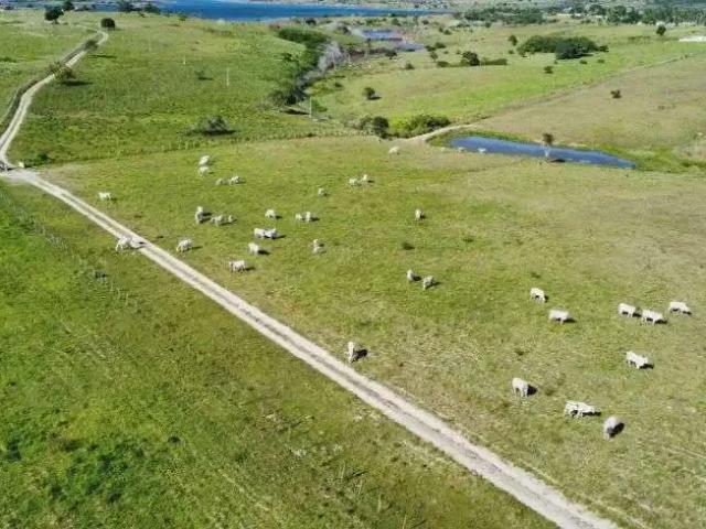 Sítio e chácara venda em Região Geográfica Imediata de Natal, Macaíba