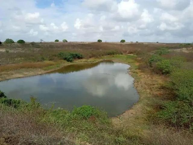 Sítio e chácara venda em Região Geográfica Imediata de Natal, Macaíba