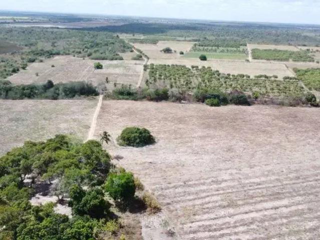 Sítio e chácara venda em Região Geográfica Imediata de Natal, Macaíba