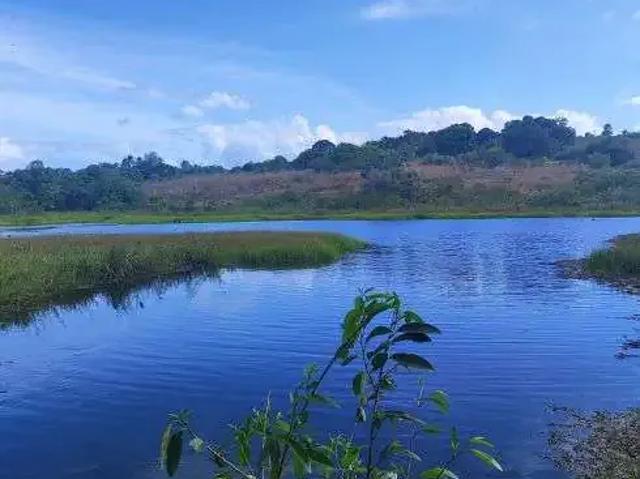 Sítio e chácara venda em Região Geográfica Imediata de Natal, Macaíba