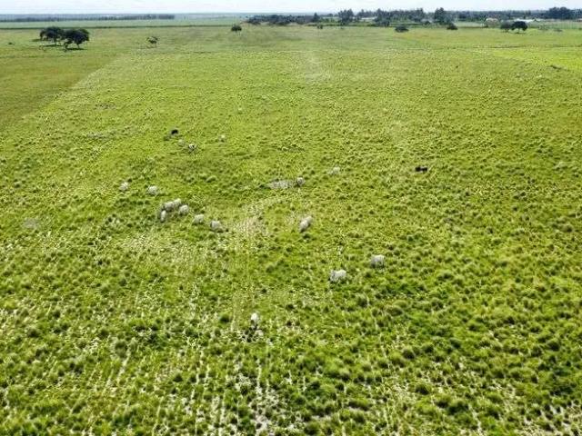 Sítio e chácara venda em Região Geográfica Imediata de Natal, Macaíba