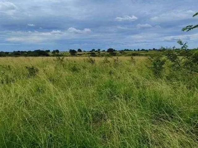 Sítio e chácara venda em Região Geográfica Imediata de Natal, Macaíba