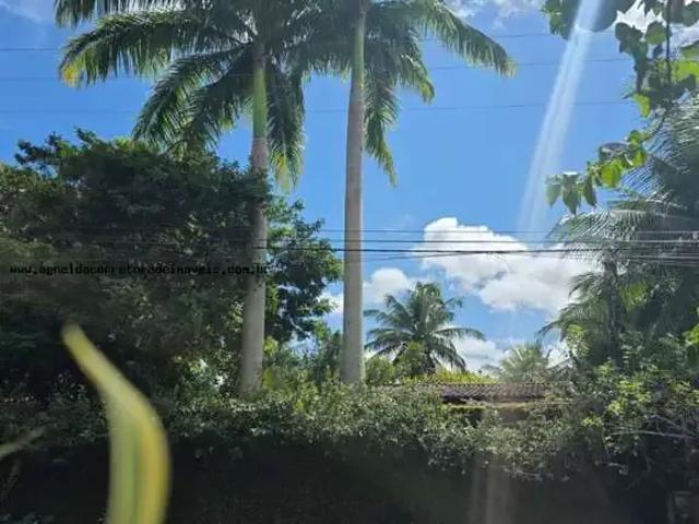 Sítio e chácara venda em Região Geográfica Imediata de Natal, Macaíba