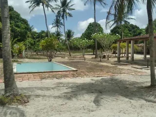 Sítio e chácara venda em Região Geográfica Imediata de Natal, Macaíba