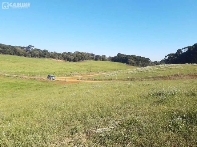 Sítio e chácara venda em Região Geográfica Imediata de Caçador, Macieira