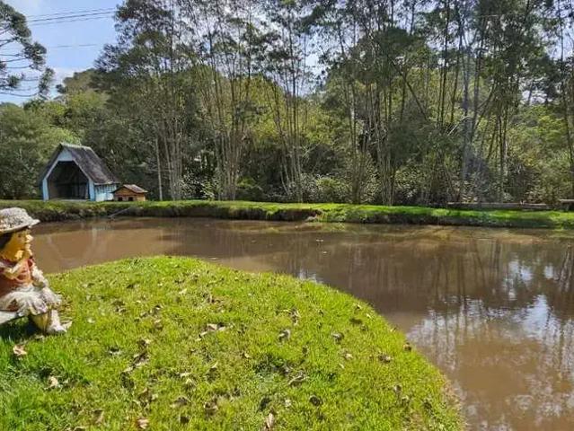 Sítio e chácara venda em Região Geográfica Imediata de Chapecó, Chapecó
